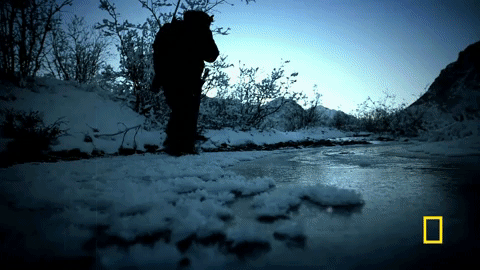 life below zero GIF by National Geographic Channel