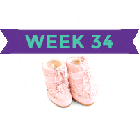 Pregnancy Baby Size Sticker by What to Expect