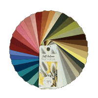 Color Palette Coloranalysis Sticker by Sanja Pandurov