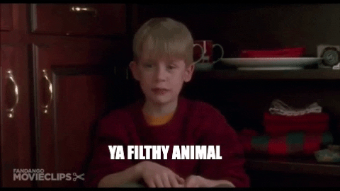 samanthaweathers giphygifmaker movie home alone GIF