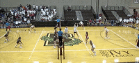 Celebration Dancing GIF by Brown Volleyball