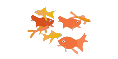 goldfish STICKER