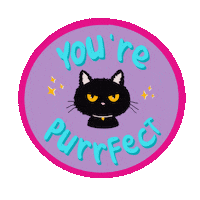 Black Cat Sticker