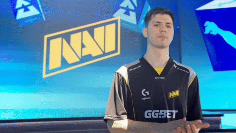 Esports Cs2 GIF by BLAST