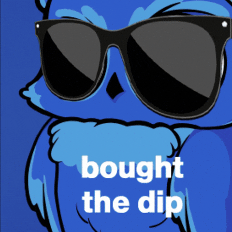 Crypto Owl GIF by BigBrains