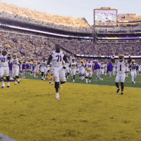 College Football GIF by LSU Tigers