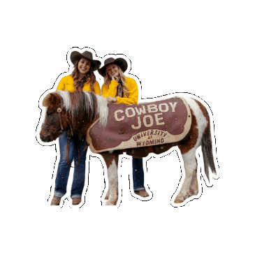 University Of Wyoming Cowboys Sticker by Wyoming Residence Life