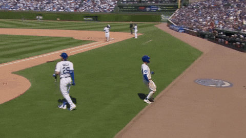 Chicago Cubs Sport GIF by TheDreamTeam 