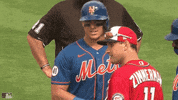 Ny Mets Conversation GIF by New York Mets
