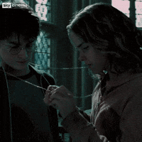 Harry Potter Wtf GIF by Sky