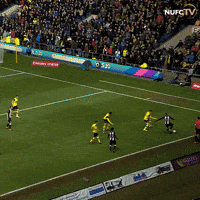 Saint-Maximin Asm GIF by Newcastle United Football Club