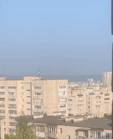 nizamov121090 giphyupload GIF