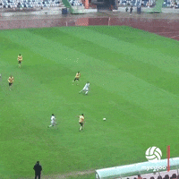 Ud Leiria Football GIF by ELEVEN SPORTS