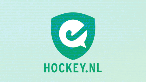 glitch logo GIF by HockeyNL