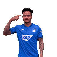 Sport Bundesliga Sticker by TSG Hoffenheim