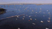 rhode island GIF