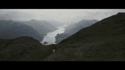 GIF by Collider