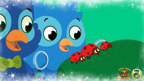 Explore Daniel Tigers Neighborhood GIF by PBS KIDS