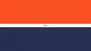 Uva Football GIF by Virginia Athletics