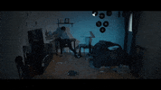 angry this wild life GIF by Epitaph Records