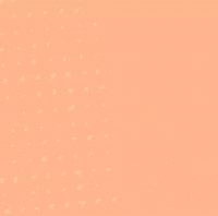 Eveiza plus size eveiza GIF