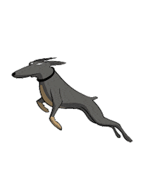 Dogs Sticker by Unfold Agency