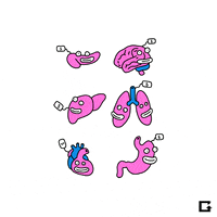Student Loans Millennials GIF by gifnews
