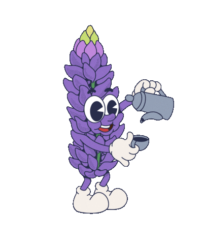 drinkloffee giphyupload decaf lupine caffeine free Sticker