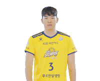 Kb스타즈 Sticker by KB STARS VOLLEYBALL CLUB