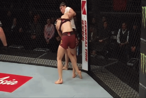 bjj armbar GIF