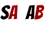 Seawolves Sababa Sticker by Stony Brook Hillel