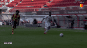 yrkvmechelen football ball voetbal foot GIF