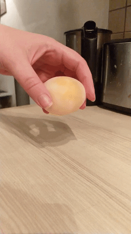 hann42 giphygifmaker bouncy egg GIF