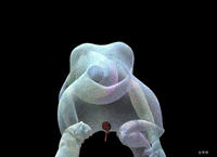 3D Balloons GIF by Uwe Heine Debrodt