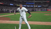 New York Yankees GIF by MLB