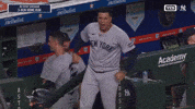 Yelling New York Yankees GIF by MLB