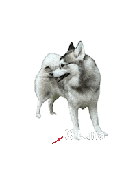 Dog Puppy Sticker by Global Tara Entertainment