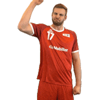 swisshandball_official handball schweiz swiss swisshandball Sticker