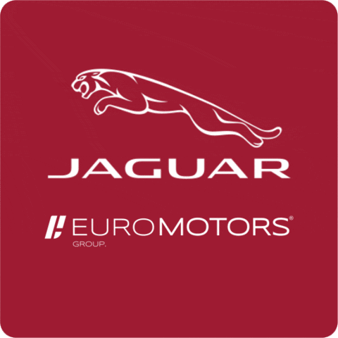 Jaguar GIF by Grupo Euro Motors