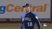 Regular Season Sport GIF by MLB