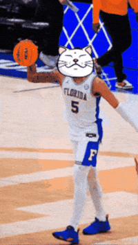 Basketball Hype GIF by ShiroNeko