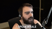 Speak Gta V GIF