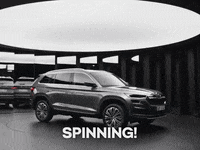 skodaglobal confused head spinning woohoo GIF