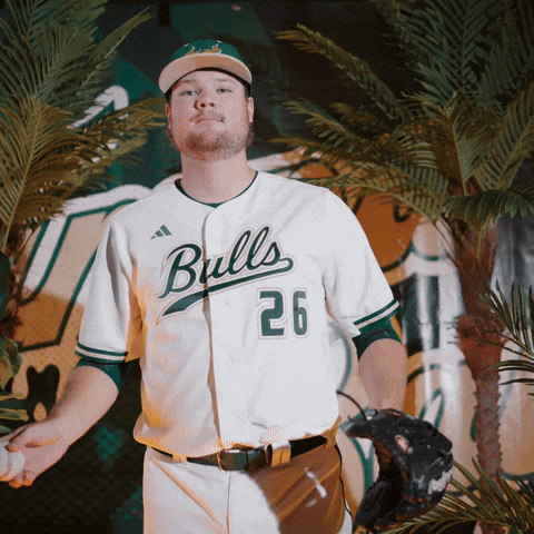 South Florida Baseball GIF by USF Athletics