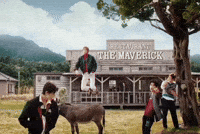 James Martin GIF