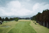 Coer GIF