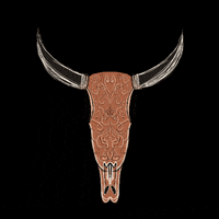 Home Skull GIF
