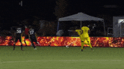 Soccer Goal GIF by New Mexico United