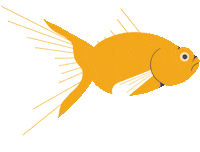 china fish Sticker by Culture Trip