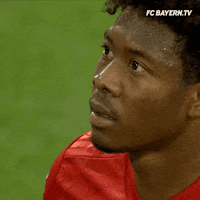 fcbayern football soccer meme mood GIF